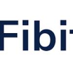 Fibit Pro