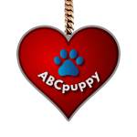 abcpuppy